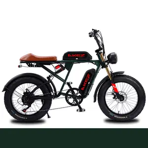 smart energy saving and emission reduction green and high-efficiency dual-battery electric vehicle bicycle