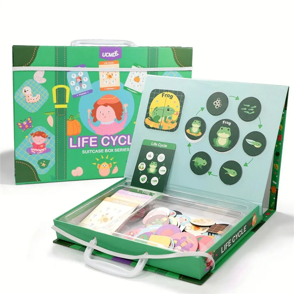 Quebra-cabeças de brinquedo educativo, quebra-cabeças magnético para aprendizagem da vida e ciclo de brinquedo educacional