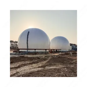 Qingdao Haiyue Fabriek 10 Kw Mini Biogas Energiecentrale Reactor Biogas Anaërobe Vergister