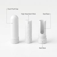 Bâtonnets Inhalateurs Nasaux Portables en Plastique pour Huiles Essentielles, Rechargeables, Tubes d'Aromathérapie Vides, Prêts à l'Expédition – Livraison Rapide PM