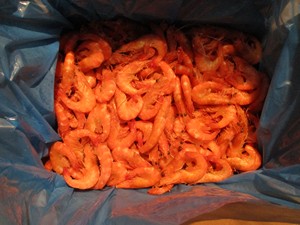 Proveedor de China, venta al por mayor de <span class=keywords><strong>mariscos</strong></span>, <span class=keywords><strong>camarones</strong></span> Vannamei cocidos congelados - Product Image 3