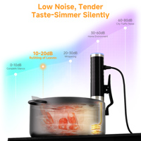 BioloMix 1200W Appareil de cuisson sous vide, circulateur à immersion, cuiseur lent portable avec minuterie numérique, appareil de cuisson sous vide