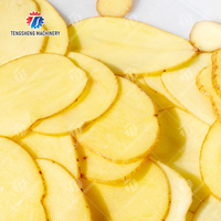 Cortadora Comercial de Frutas y Verduras, Rebanadora Eléctrica de Zanahorias, Picadora de Patatas, Cortadora de Chips de Plátano, Máquina para Cortar Repollo