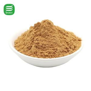 אבקת תמצית פטריית ריישי באיכות מזון, פוליסכרידים 10%20%30%40%50%, תמצית גנודרמה לוסידום - Product Image 3