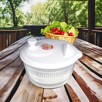 Haixin Bpa Gratis Quick Handbediende Home Keuken Draagbare Groenten En Fruit Droger Afvoer Plastic Salade Spinner Droger