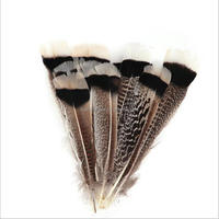 En gros pas cher sauvage Barred dindon queues aile plume plume pour mouche attachant artisanat indien coiffure décorations