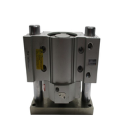 Cilindro Compacto Plc Mlgpm100-50-b Nsnp con Garantía