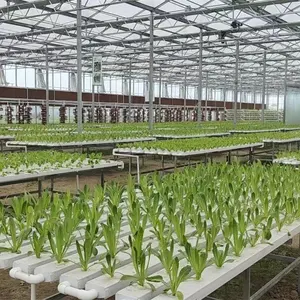 Importación de China, venta al por mayor, canal de plantación NFT interior Horizontal, Canal hidropónico de PVC, sistema hidropónico NFT