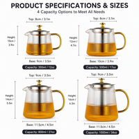 Teko Teh Kaca Bergaris Tahan Panas 350ml 500ml 800ml 1000ml Gagang Emas dengan Infuser Pembuat Teh Modern