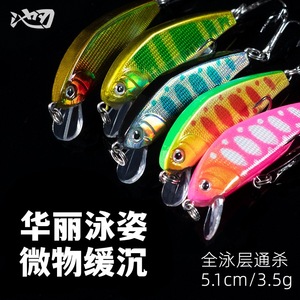 Leurre Ikeba Minnow Cr12252 2, leurre de fond à coulée lente pour la pêche aux poissons d'eau douce - Product Image 3