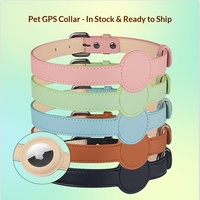 Collier GPS pour animaux de compagnie compatible avec AirTag, en plastique, anti-perte, léger, réglable, pour chats et petits chiens, toutes saisons, vente en gros