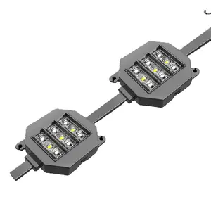 special shape supplier landscape RGBW smd5050 IP67 1.92w 24v led dot point project pixel light