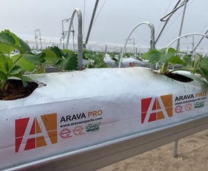 Sacs de culture en fibre de coco ARAVA, écologiques et biodégradables, pour la culture des fraises en serre - Product Image 2