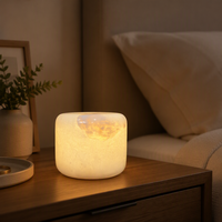 Lampe de table LED à piles en marbre naturel Soda Pat Nigh pour la maison