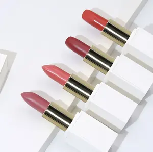 Rouge à lèvres mat imperméable à haute Pigment, Logo personnalisé Vegan, étiquette privée nue