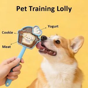 Silicone Pet <b>Training</b> Lolly Slow Feeder <b>Treat</b> Toy Interactive Licking Puzzle Feeder for Dogs - Product Image 1