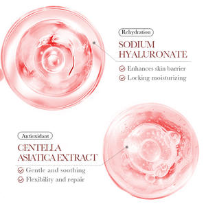 Set de Cuidado Facial Unisex Camellia Antioxidante, Rejuvenecedor, Blanqueador e Hidratante de Uso Diario con Hialuronato de Sodio Calmante - Product Image 4