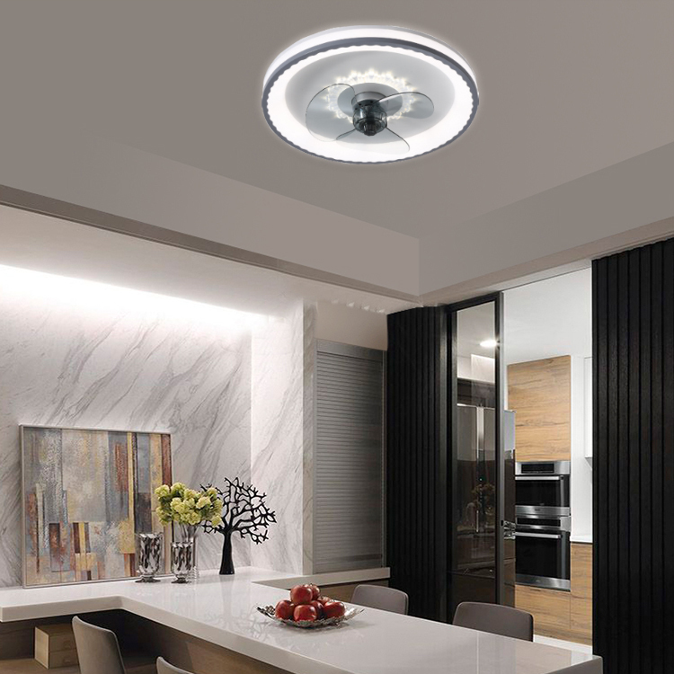 Modern Professional Living Room Metal+Plastic 6-Speed Ceiling Fan Lamp with Remote Control LED Light