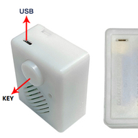 Repetidor de voz OEM personalizado para peluches, USB, audio, MP3, ordenador, el más vendido, 2023