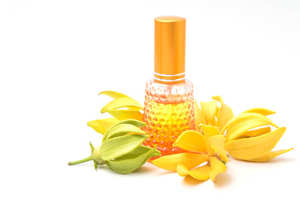 Natural Ylang Ylang <b>Essential</b> <b>Oil</b> for <b>Diffuser</b> and Cosmetic Manufacturing High Quality Steam Distilled <b>Oil</b> for Personal Care - Product Image 2