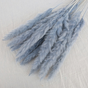 Ramo Pequeño de Hierba de Pampa Natural, Flores Secas para Decoración Minimalista del Hogar, Decoración Moderna y Arreglos de Boda - Product Image 6