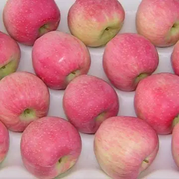 Importare frutta cinese con vendita calda di buona qualità nel prezzo di mercato nuovo raccolto mela fuji