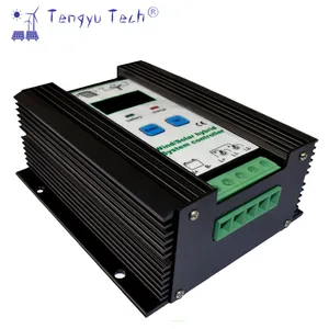 Tengyu Tech 12/24V 600W 바람 태양 하이브리드 충전 컨트롤러 바람 태양 시스템 컨트롤러