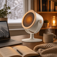 Petit radiateur de bureau, ventilateur électrique 220V, angle réglable, mini radiateur d'appoint, chauffage personnel portable pour l'hiver et le bureau