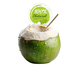 มะพร้าวสด-ทางเลือกที่ดีที่สุดสำหรับการใช้ชีวิตที่มีสุขภาพดี - Product Image 3