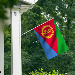 Vente en gros personnalisée de haute qualité avec œillets en laiton 100% polyester 3*5 pieds drapeaux érythréens drapeau national bannière de pays - Product Image 2