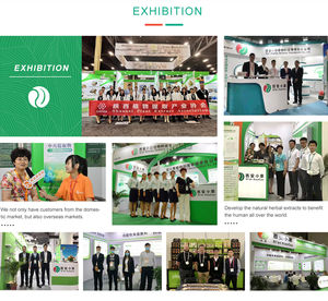 פיגמנט מזון טבעי אבקת כלורופיל סיטונאי 99% כלורופיל - Product Image 5