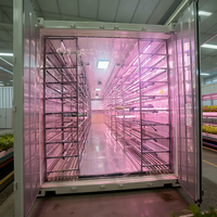 Conteneur intelligent clé en main pour la culture de champignons, structure en acier, système de contrôle climatique automatique, ferme de culture de champignons complète