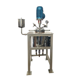 WHGCM Planta de pirólisis Reactor de alta presión Recipiente de presión de laboratorio Circonio Pet Plástico Nuevo 1L Proporcionado Correa de motor automática 500 - Product Image 1