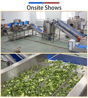 Industriële groentesalade centrifuge droogmachine pomp roestvrij staal 500-800kg/uur capaciteit Fengxiang merk FZHS-450