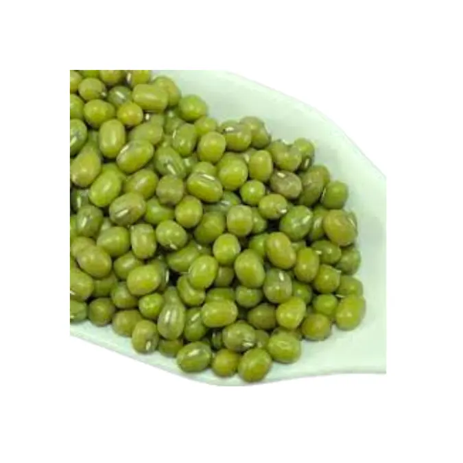 High sprouting rate whole green mung bean Mung bean for export from Viet Nam