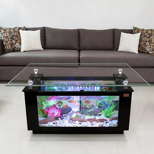 <span class=keywords><strong>Table</strong></span> <span class=keywords><strong>basse</strong></span> rectangulaire en verre incurvé au design spécial, <span class=keywords><strong>aquarium</strong></span> pour salon/salle à manger, <span class=keywords><strong>aquarium</strong></span> <span class=keywords><strong>d</strong></span>'eau douce planté, style moderne - Product Image 6