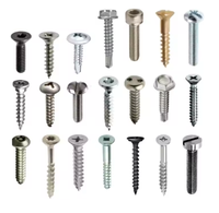 All Size Customized Special Head Stainless Steel Carbon Steel Screw Metal Custom Non Standard Screws and Fastener