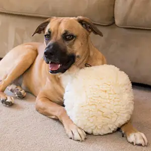2024 Top Seller Designer Plush Toy Pet Dog Play Ball Soft Cute Round Cheap Pet Toy Ball Dog Chew Toys