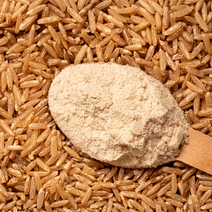 Poudre de protéines végétales isolées de riz brun naturel de haute pureté FitTree International, durée de conservation de 24 mois, ingrédient alimentaire protéiné - Product Image 1