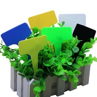 Marqueur en plastique forme de T pour Pot de pépinière, étiquette pour décoration de jardin, plantes succulentes