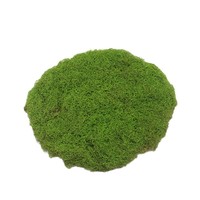 Gazon artificiel marron imitation mousse pour extérieur, plante verte bonsai, ornements décoratifs de paysage, micro-aménagement paysager Chine