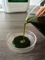 Polvo de extracto de algas marinas orgánicas Extracto de hierbas de grado alimenticio Algas marinas Hoja extraída Agua Bolsa empaquetada Tambor Pedido mínimo 1kg