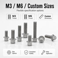 Vis en titane personnalisées GR5 Ti-6Al-4V M3 M6 pour vélo, moto, dispositif médical, haute résistance