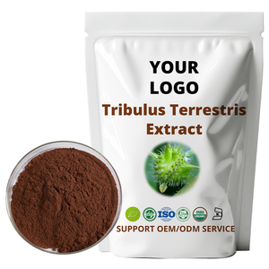 40% 60% saponin <span class=keywords><strong>Tribulus</strong></span> <span class=keywords><strong>terrestris</strong></span> chiết xuất bột fairir Chất lượng cao tự nhiên <span class=keywords><strong>Tribulus</strong></span> <span class=keywords><strong>terrestris</strong></span> chiết xuất - Product Image 2