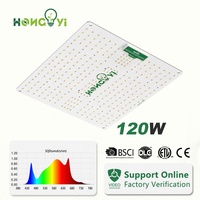Kosteneffectieve 120W Volspectrum LED Kweeklamp Ultralicht Quantum Paneel Verre Rood Dimmer Hoge Efficiëntie Bloei Succulenten Tuinbouw