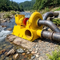 50 kW 75 kW Freie-Energie-Kaplan-Turbine Wasserkraftgenerator