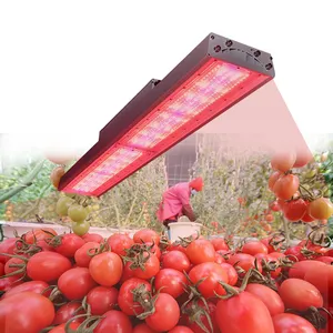 1000w Foldable Hydroponic Indoor Garden Full Spectrum Led Grow Light