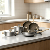 Ensemble de casseroles en acier inoxydable 304 tri-couches, série titane fondu, antiadhésif, compatible gaz et induction, poêle de cuisson D