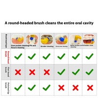 YOUNGELF-Cepillo de dientes interdental de ortodoncia de un solo cabezal, respetuoso con el medio ambiente, cerdas suaves de Pedex, mango, diseño de cabeza pequeña para la sabiduría