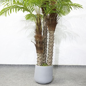 Multi-Stem Luxury <b>Artificial</b> Palm <b>Tree</b> UV Resistant Water Resistant Eco-Friendly Plastic Detachable Trunks for Home Office Hotel - Product Image 3